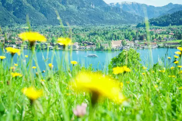 Bergblick Wandern Familienurlaub